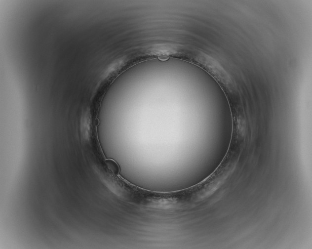 X0000116270304200911301219