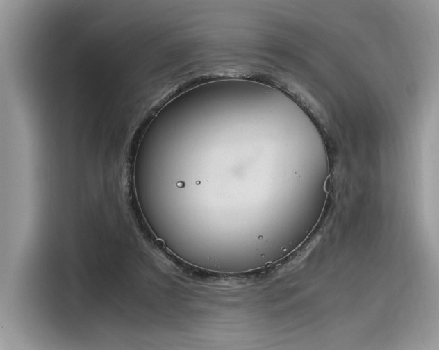X0000116270305200911301219