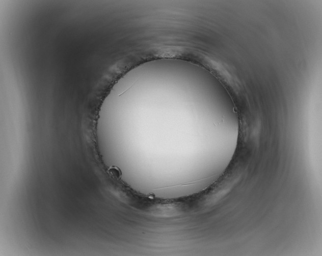 X0000116270307200911301218