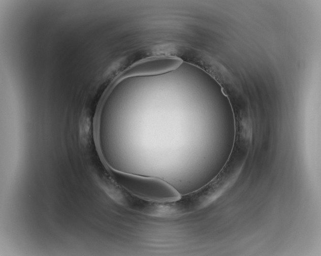 X0000116270308200911301218