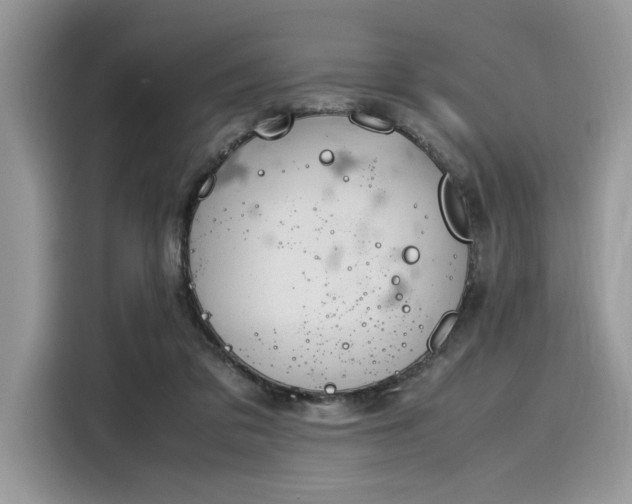 X0000116270309200911301218