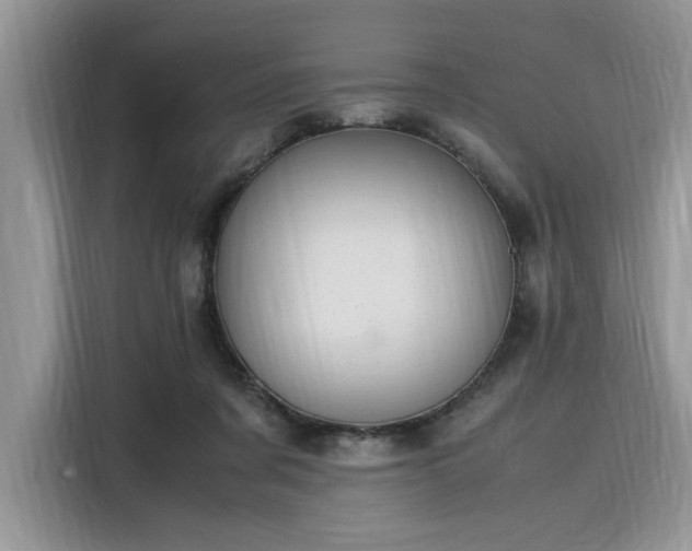 X0000116270311200911301218