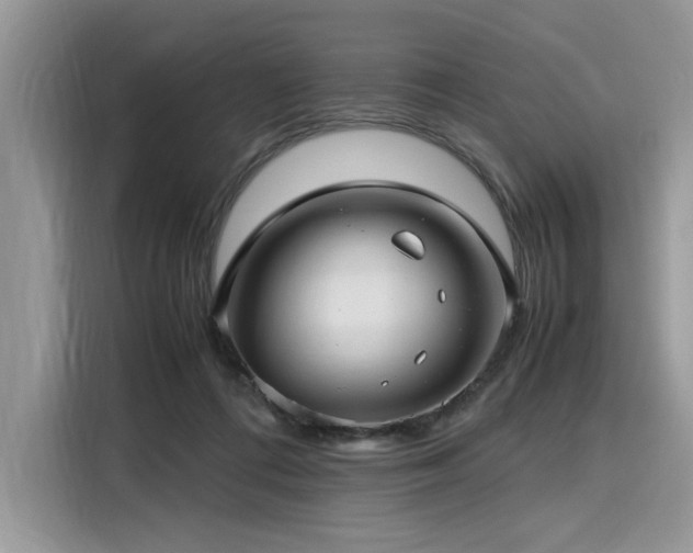 X0000116270312200911301218