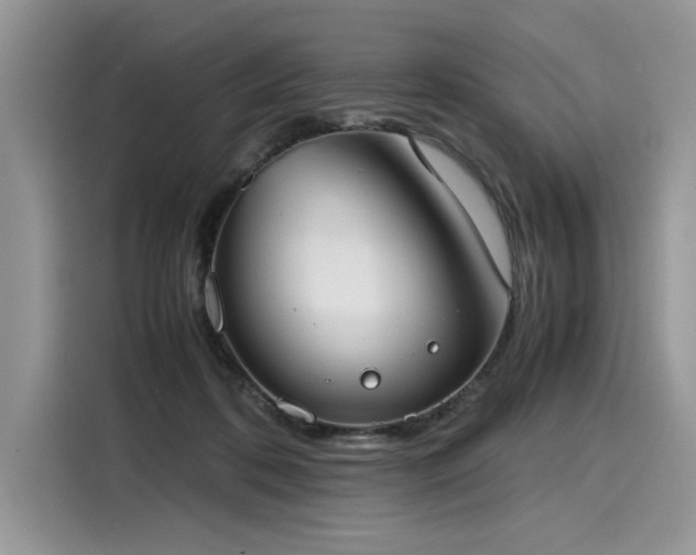X0000116270316200911301218