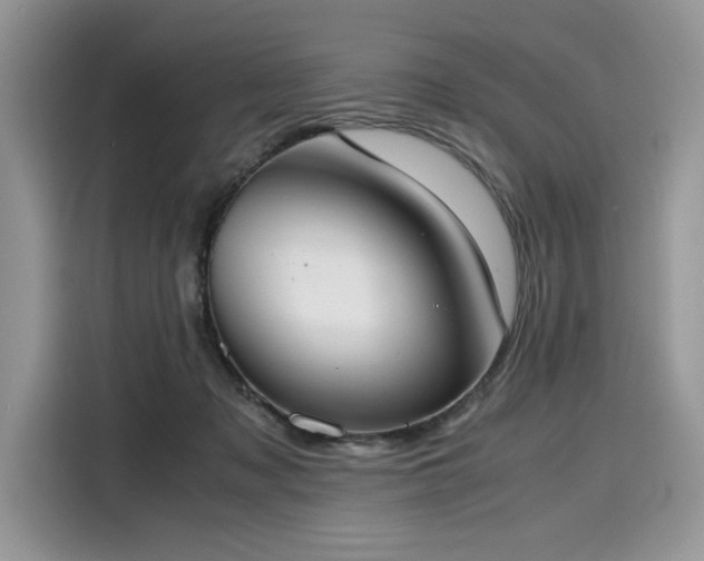 X0000116270317200911301218
