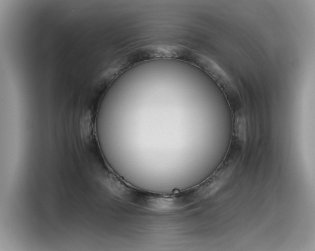X0000116270318200911301218