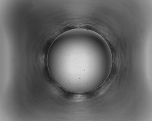 X0000116270319200911301218
