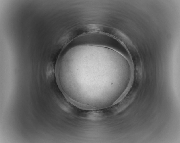 X0000116270320200911301218
