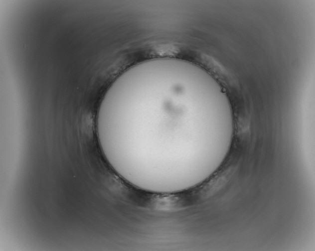 X0000116270321200911301218