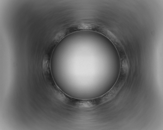 X0000116270322200911301218