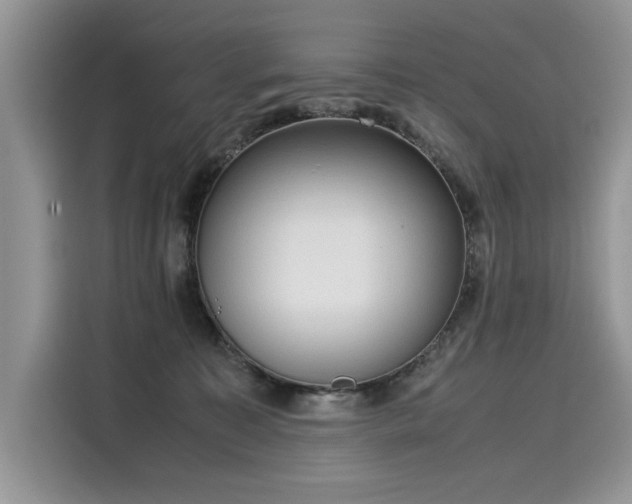 X0000116270323200911301218