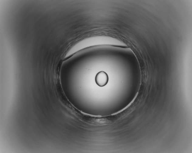 X0000116270324200911301218