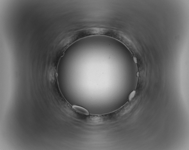 X0000116270325200911301218