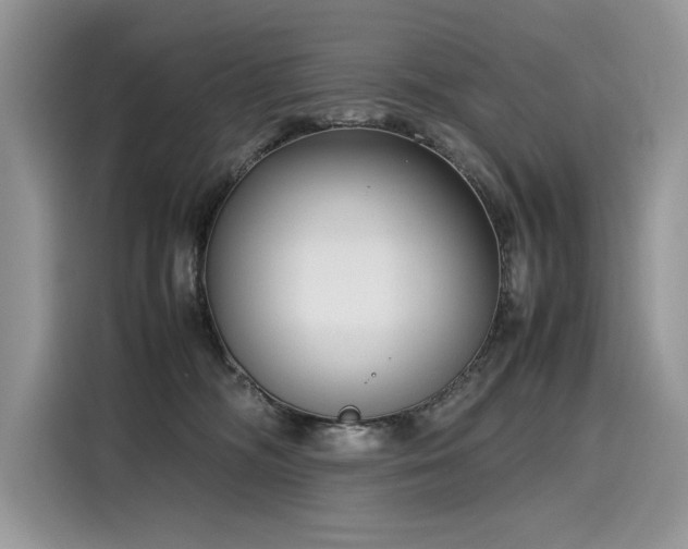 X0000116270326200911301218