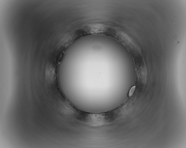 X0000116270327200911301218