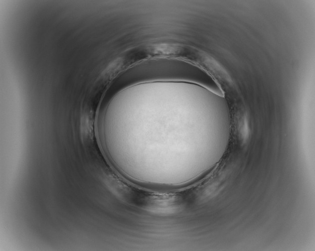 X0000116270328200911301218