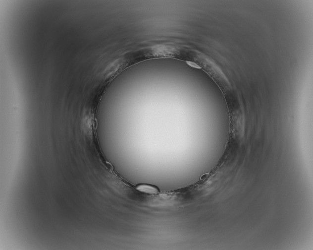 X0000116270329200911301218