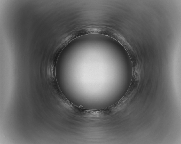 X0000116270330200911301218