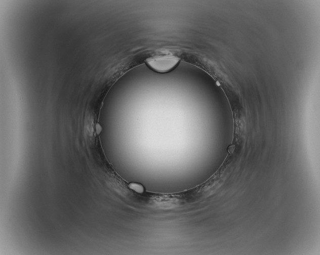 X0000116270331200911301218