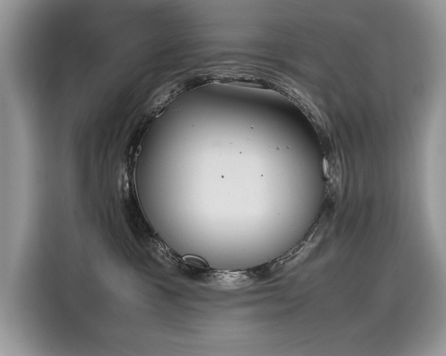 X0000116270333200911301218
