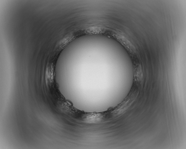X0000116270334200911301218