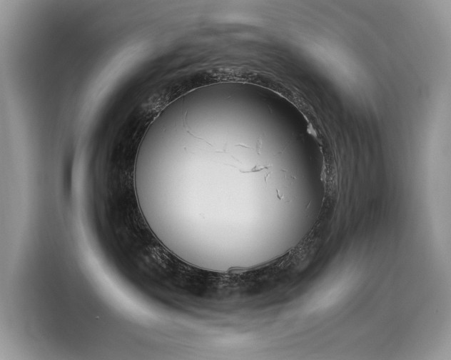 X0000116270335200911301218