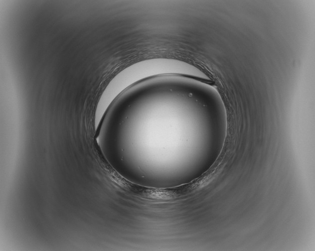 X0000116270336200911301218