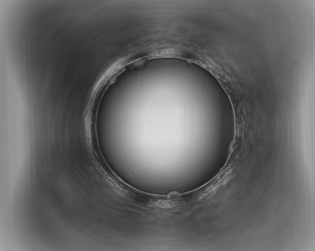 X0000116270341200911301218