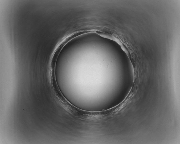X0000116270342200911301218
