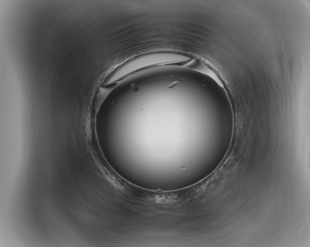 X0000116270345200911301218