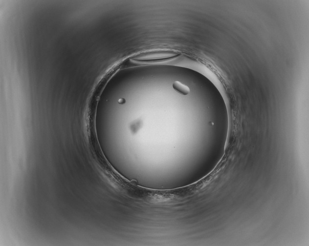 X0000116270346200911301218