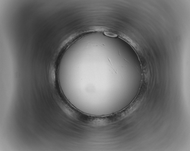 X0000116270350200911301218