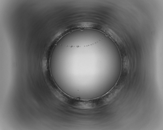 X0000116270351200911301218
