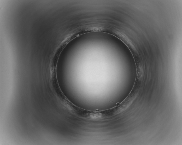 X0000116270355200911301218