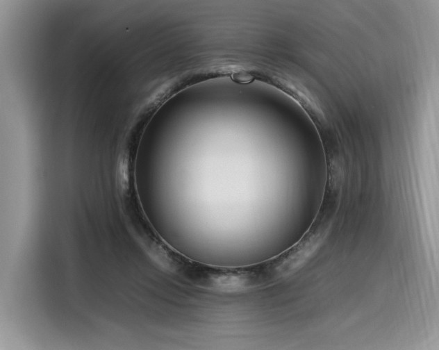 X0000116270358200911301218