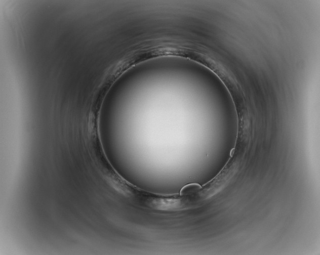 X0000116270361200911301218