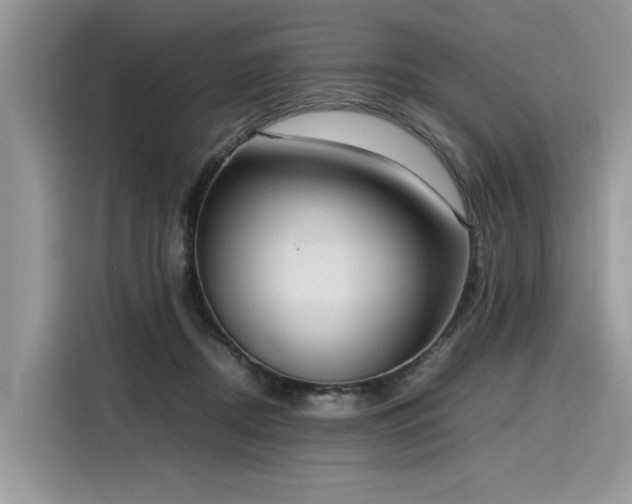 X0000116270362200911301218