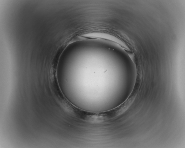 X0000116270366200911301218
