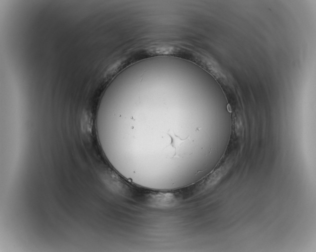 X0000116270374200911301218