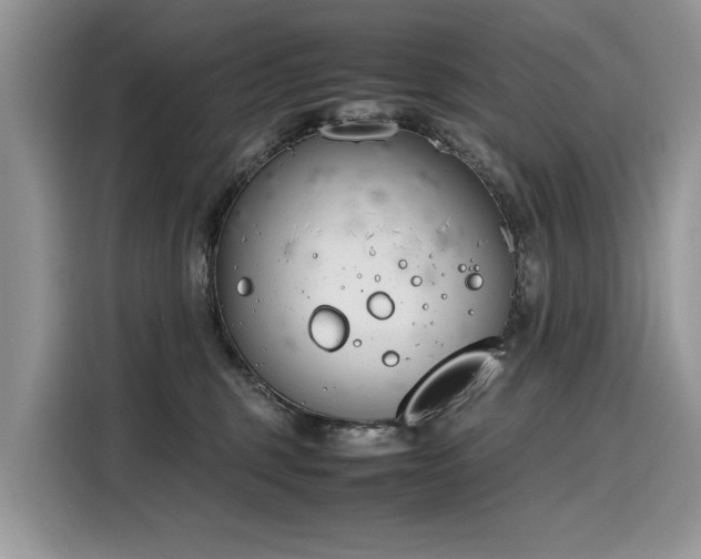 X0000116270375200911301218