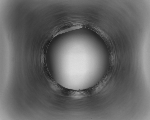 X0000116270379200911301218