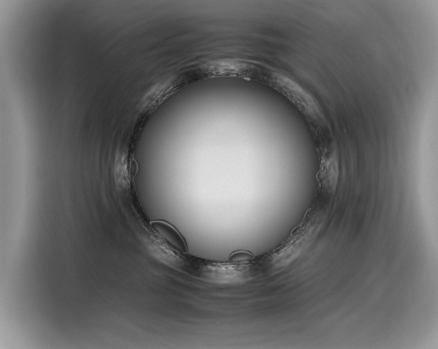 X0000116270381200911301218