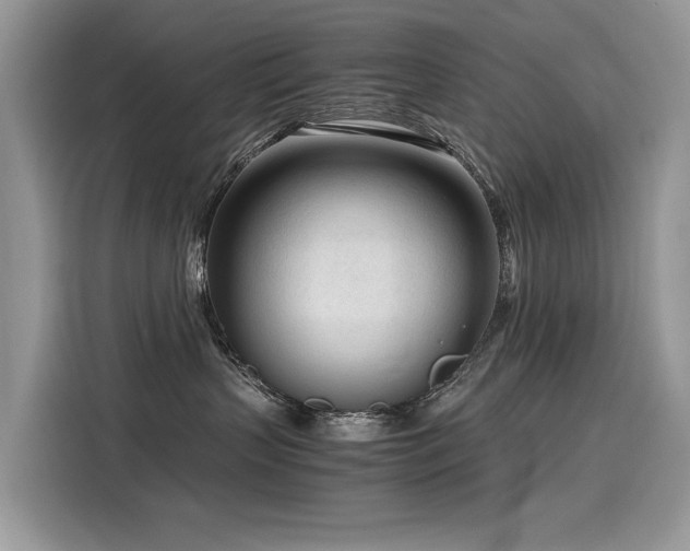 X0000116270383200911301218