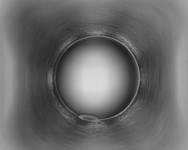 X0000116270386200911301217