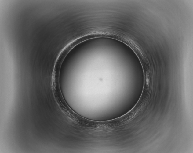 X0000116270388200911301217