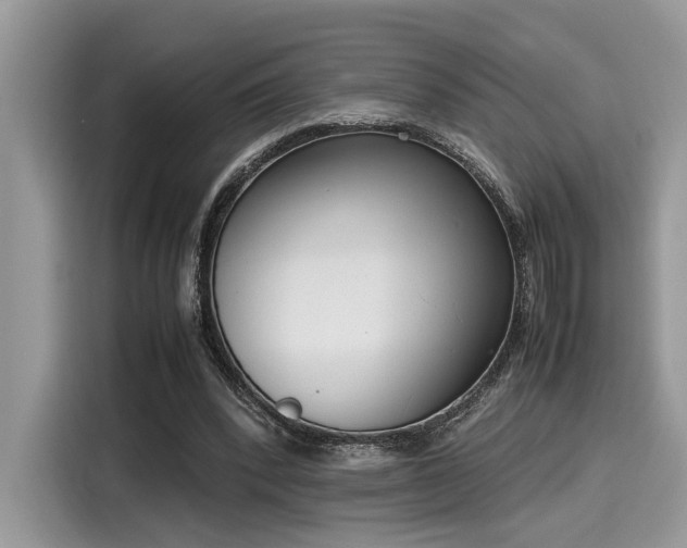 X0000116270392200911301217