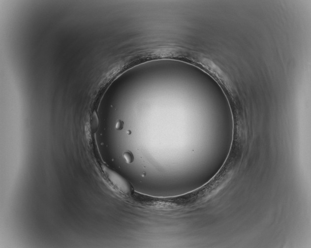 X0000116270393200911301217