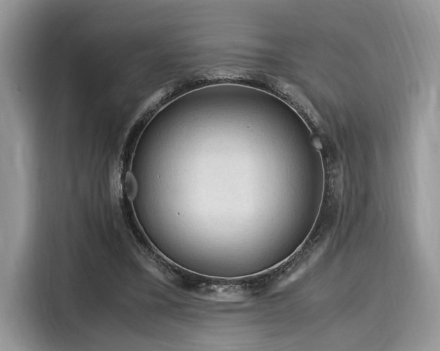X0000116270395200911301217