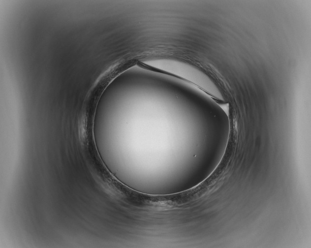 X0000116270396200911301217