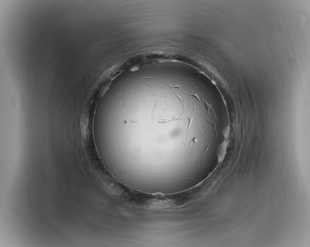 X0000116270403200911301217